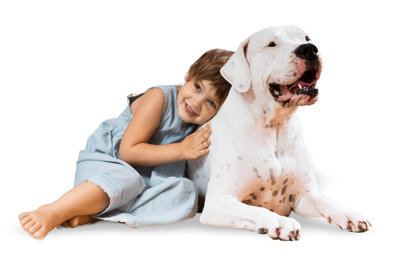 Dog training being good with kids